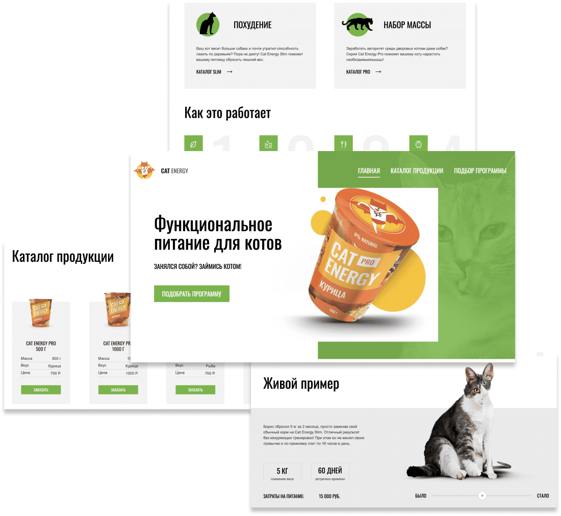 Cat Energy Project